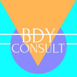 bdyconsult logo